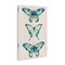 Stupell Industries Classic Butterfly Specimens Canvas Wall Art Design by Christine Zalewski